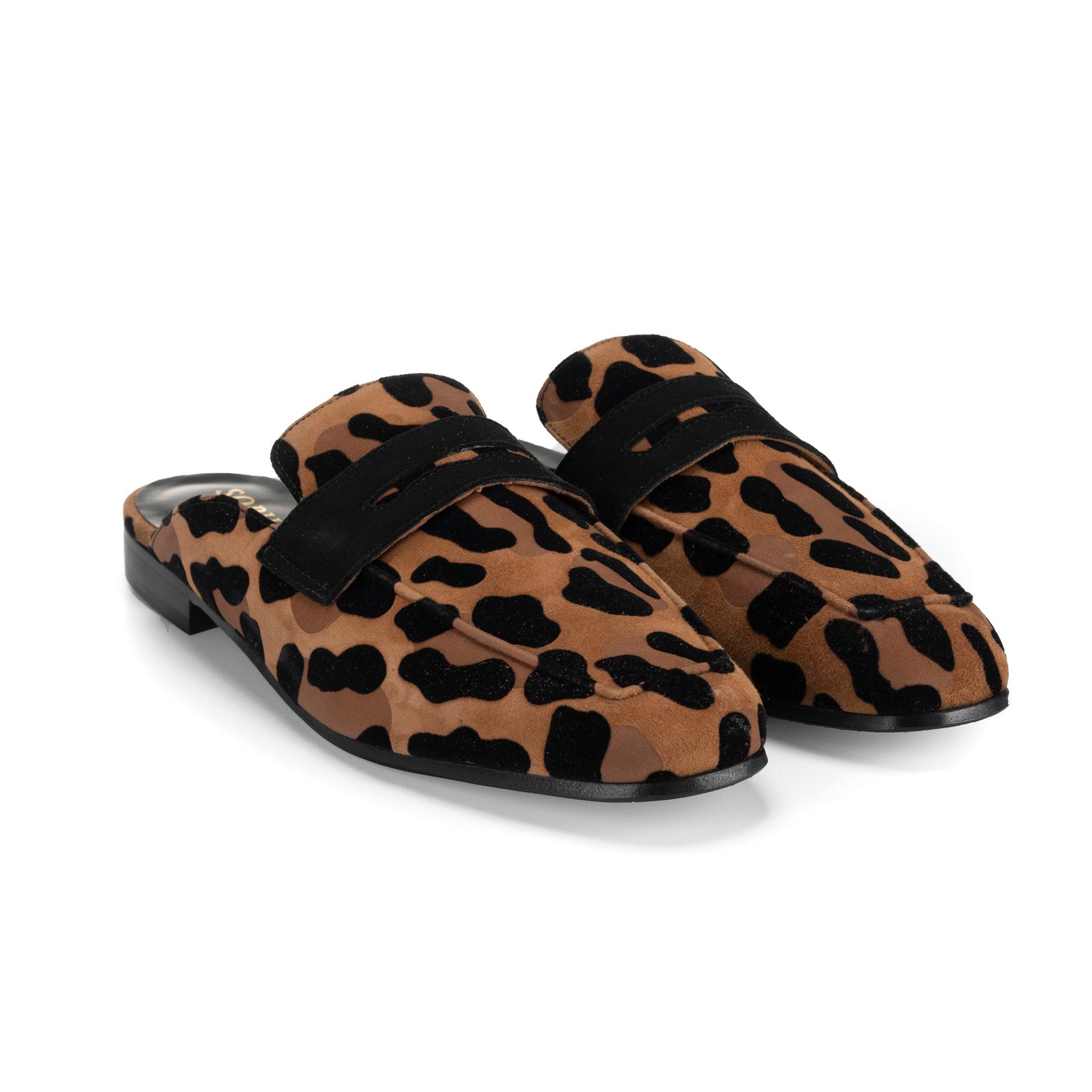Riviera Leopard